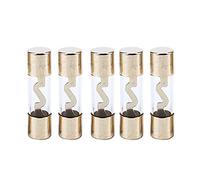 Fuse Pack of 5 Car Amp Amplifier Glass 40 A AMP AGU Gold Plated Fuse Protected circuits