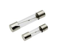 Fuse T8AL250V T10AL250V 6 * 30MM 5 * 20MM Time-Delay Glass Tube 10Pcs(T8AL250V,5x20MM)
