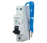 Fusebox 10A B Curve Mini Rcbo 2P 30Ma 6Ka Type A, Rtamb10