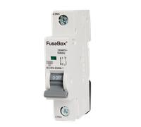 FuseBox MT10C251 25A 1P C Curve 10kA MCB