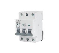 FuseBox MT10D163 16A 3P D Curve 10kA MCB