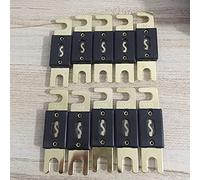fuses 10PCS/LOT 80A 100A 150A 200A 250A 300A Golden Plated Car Audio Auto Fuse ANL Fuse fuses Protected circuits (Size : 10pcs 100A)