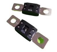 Fuses: ANM30A 40A 50A 60A 70A 80A 100A 125A 150A 175A 200A 225A 250A 300A 32V / ANM-E ANM-B ANM-C ANM-B2Y ANM-B4(ANM-B4)