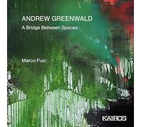Fusi, Marco - A Bridge Between Spaces