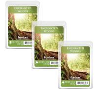 FUSION by Scentsationals Scented Wax Fragrance Melts - Enchanted Woods - Wax Cubes Pack, Home Warmer Tart, Electric Wickless Candle Bar Air Freshener, Spa Aroma Decor Gift - 2.5oz (3-Pack)