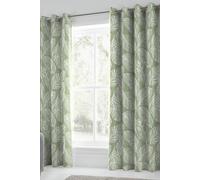 Fusion 'Matteo' 100% Cotton Light Filtering Pair of Eyelet Curtains in Green | Size: 168 cm width x 137 cm drop Fusion Green 168 cm width x 137 cm drop