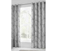 Fusion 'Matteo' 100% Cotton Light Filtering Pair of Eyelet Curtains in Grey | Size: 117 cm width x 137 cm drop Fusion Grey 117 cm width x 137 cm drop