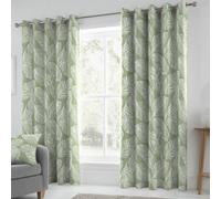 Fusion Matteo 100% Cotton Light Filtering Pair Of Green Eyelet Curtains