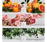 Fussy - Natural Deodorant Refill - Pack of 3 - Aluminium Free - Variety Pack - 24 Hour Protection - 100% Effective - Citrus, Floral & Mint - Vegan & Cruelty Free - 3 x 40g Refills