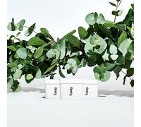 Fussy Refillable Natural Deodorant Refills - Mint x3