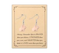 FUSTMW Octopus/Squirrel/Seal/Frog/Sheep/Pig/Elephant/Koala Dangle Earrings Cute Resin Animal Earring Animal Jewelry Gift, Zinc, No Gemstone