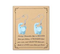 FUSTMW Octopus/Squirrel/Seal/Frog/Sheep/Pig/Elephant/Koala Dangle Earrings Cute Resin Animal Earring Animal Jewelry Gift, Zinc, No Gemstone