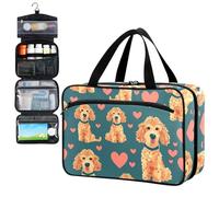 Fustylead Lovely Hand Draw Poodle Dog and Hearts Doodle Pill Organizer Bag Large Medicine Travel Carrying Case with Zipper for Vitamin Supplements Fish Oil, Empty First Aid Kit for Hiking Camping