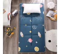 Futon Floor Mattress Folding Roll Up Tatami Mattress,Single/Twin/Queen/King Size Japanese Futon Mattress Camping Mattress with Non-Slip Backing (Gray,120x200cm)