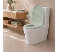 Futura Toilet Seat Soft Close D Shape Premium Thermoplastic Universal in Pale Green | Size: 50 cm Futura Pale Green 50 cm