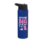 Future Big Sister 2027 Funny First Time Big Sister Dinosaur Stainless Steel Insulated Water Bottle
