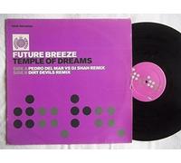 Future Breeze - FUTURE BREEZE Temple of Dreams 12" vinyl