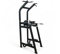 Future Elite Series Commercial Vertical Knee Raise / Chin Dip Frame