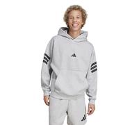 Adidas Future Icons 3 Stripes Hoodie Grey M / Regular Men