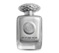 Future Now by I’m Rasasi|100ml Long-Lasting Unisex Perfume| Extrait de Parfum