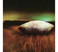 Future Shuttle - Water S Edge [VINYL]