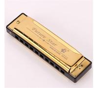 FUTURE STAR Harmonica, 10 Hole, C Tone Blues, Titanium Gold Finish.