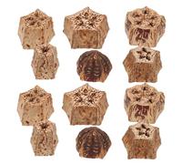 FUTUREORYY 12pcs Parrot Foraging Natural Dried Fruit Chew Blocks for Birds Pet Shredding to Prevent Biting and Enhance Play for Budgie Lovebird Cockatiel Conure
