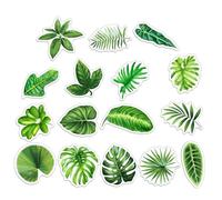 FUTUREORYY 16Pcs Tropical Leaves Fridge Magnets Decorative Magnetic Refrigerator Stickers for Kitchen and Office Functional Leaf Shaped Magnets for Holding Photos and Notes Metal Surfaces