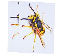 FUTUREORYY 2 Sheets Wasp Car Stickers with Strong Adhesive Decorative Wall Decals for Boys Bedroom Home Decor Transparent Insect Design for Smooth Surfaces Including Plastic Wood Tile Glass