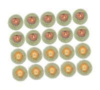 FUTUREORYY 20pcs Rabbit Toys Pet Chew Snack Freezable Teething Toys for Bunny Rabbit Tooth Care