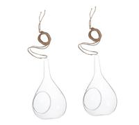 FUTUREORYY 2pcs Glass Hydroponic Vases Hanging Planters for Indoor Micro Landscape Plants, Cone-shaped Eco Bottles Suitable for Home Wall Decoration