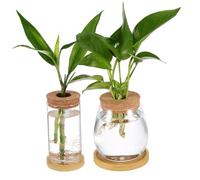 FUTUREORYY 2pcs Hydroponic Glass Planters with Cork Lid and Tray Borosilicate Glass Plant Propagation Jars for Succulent Gardens Air Plants Miniature Terrariums Vases for Home Decor