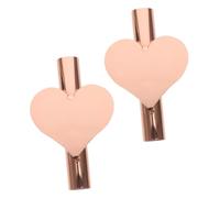 FUTUREORYY 2pcs Rose Gold Heart-shaped Wall-mounted Flower Tubes Wall Flower Vases for Romantic Home Decoration Iron Material Nordic Style Display Holders