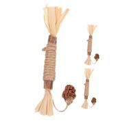 FUTUREORYY 3Pcs Cat Treat Sticks Bite Resistant Molar Chew for Indoor Cats for Teeth Cleaning and Engaging Snacks for Feline Fun