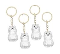 FUTUREORYY 4pcs Dog Hair Storage Keychain Transparent Memorial Capsule Pet Keepsake Box Portable Pendant for Emotional Bonding Lightweight Bag and Key Accessory