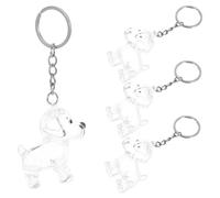 FUTUREORYY 4Pcs Transparent Dog Hair Keepsake Keychain Capsule Airtight Pet Storage Box with Moisture Resistant Seal Stylish Memorial Organizer for Pet Owners and Enthusiasts