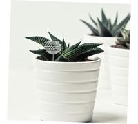 FUTUREORYY 50pcs Fertilizer Box Succulent Nutrition Cups Bonsai Fertilizer Basket Garden Nursery Pots Garden Plant Nutrition Cup Bonsai Boxes Stainless Steel Silver