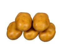 FUTUREORYY 5pcs Kitchen Simulation Potato Lifelike Vegetable Model Fake Potatoes for Home Decoration Photography Teaching Prop