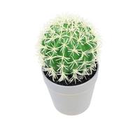 FUTUREORYY Artificial Cactus Bonsai Mini Potted Plant Decoration for Home Office Garden Simulated Desktop Succulent Ornament Low Maintenance Fake Tropical Plant for Shelf and Display