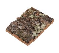 FUTUREORYY Cork Bark Decor for Reptile Tanks and Aquariums Natural Softwood Backdrop for Climbing and Exploration Reptile Habitats Indoor Plant Wall Decor