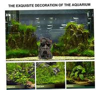 FUTUREORYY Creative Reptile Trunk Cave Hideout with Old Man Design Decorative Terrarium Habitat for Bearded Dragons Snakes Lizards Providing Climbing Basking and Safe Pet Shelter for Tanks