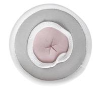 FUTUREORYY Elizabeth Collar Ring for Small Breed Pets Protective Neck Collar for Guinea Pigs and Hamsters Injury Prevention Safe Non Toxic Material Random Color Random Color