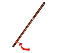 FUTUREORYY Indian Flute Beginner Instrument Bamboo Flute with Free Membrane Protector Set Traditional Chinese Instrument Made from Composite Material Easy to Carry for Students and Children