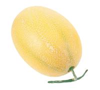 FUTUREORYY Lifelike Artificial Cantaloupe Model Realistic Plastic Oval Melon Decoration Yellow Faux Fruit for Photography Props and Home Decor