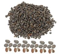 FUTUREORYY Natural Small Stones Bag Smooth Miniature Decorative Rocks for Sand Table Fish Tank Scenery Craft Garden Gravel Substrate
