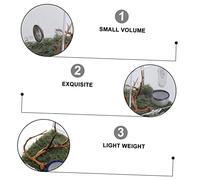 FUTUREORYY Small Jumping Spider Habitat Box Breeding Carrier Lid for Insects and Reptiles Terrarium for Florida Jumping Spiders