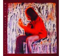 Future's Past by Dave Mason