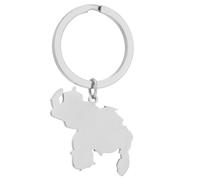 FUXIU Stylish Venezuela Map Keychain Stainless Steel Venezuela Map Keyring Perfect Souvenir for Traveler Culture Enthusiasts