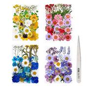 Fuyamp 131 Pcs Pressed Dried Flowers, Mixed Multiple Natural Flowers Leaves, Floral Art Craft with Tweezers for DIY Resin Pendant and Home Decorations