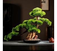 FUYAO Artificial Bonsai Pine Tree, Faux Juniper Bonsai Tree For Home Decor, Fake Plant Artificial Japanese Cedar Bonsai Plant For Office Bedroom Living Room Decorations, Tall 17"